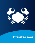 Crustaceos