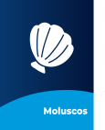 Moluscos