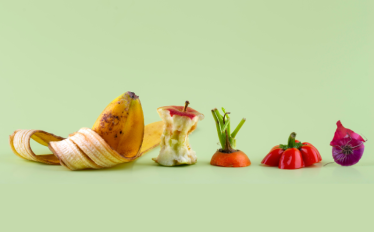Desperdicio alimentar 